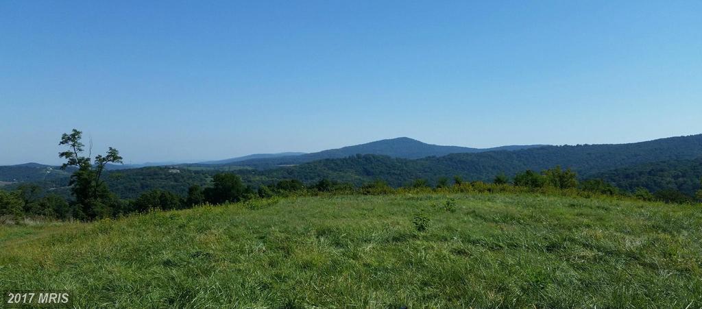 Harmony Hollow Road - Photo 1