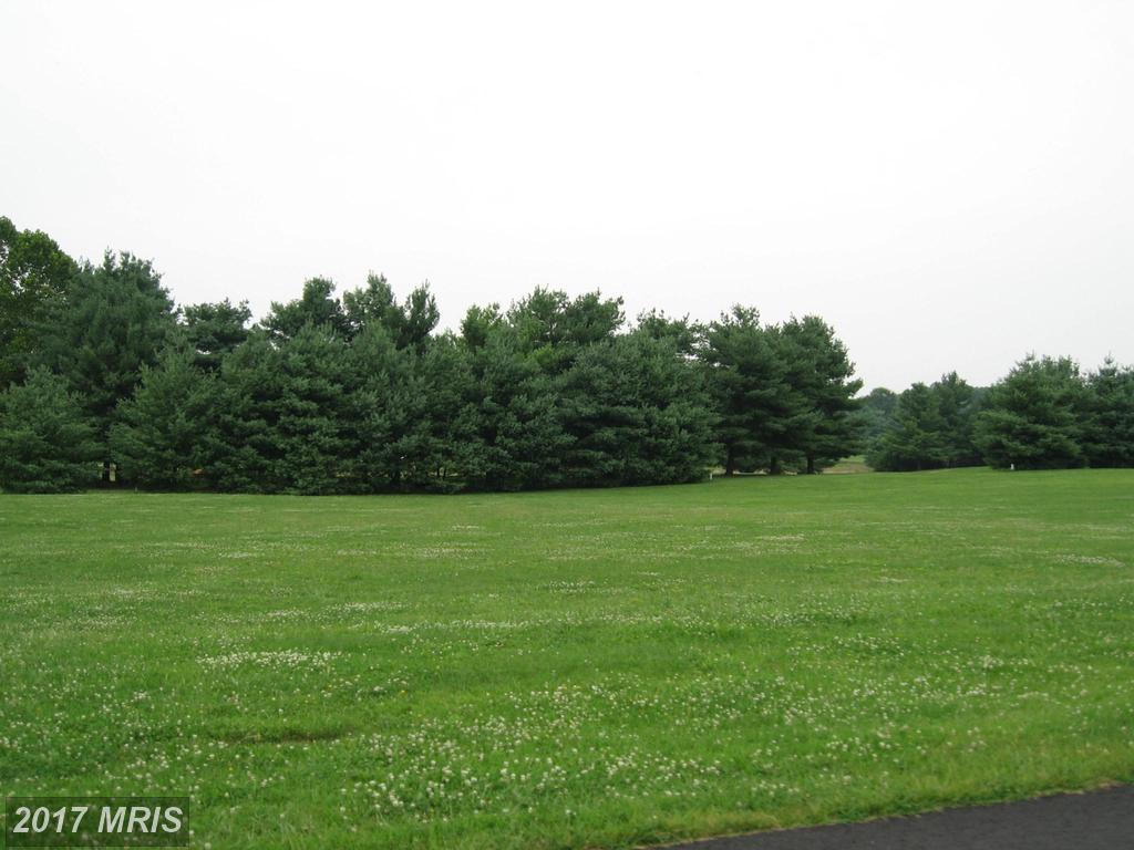 LOT 21 Bowling View Road - Photo 1