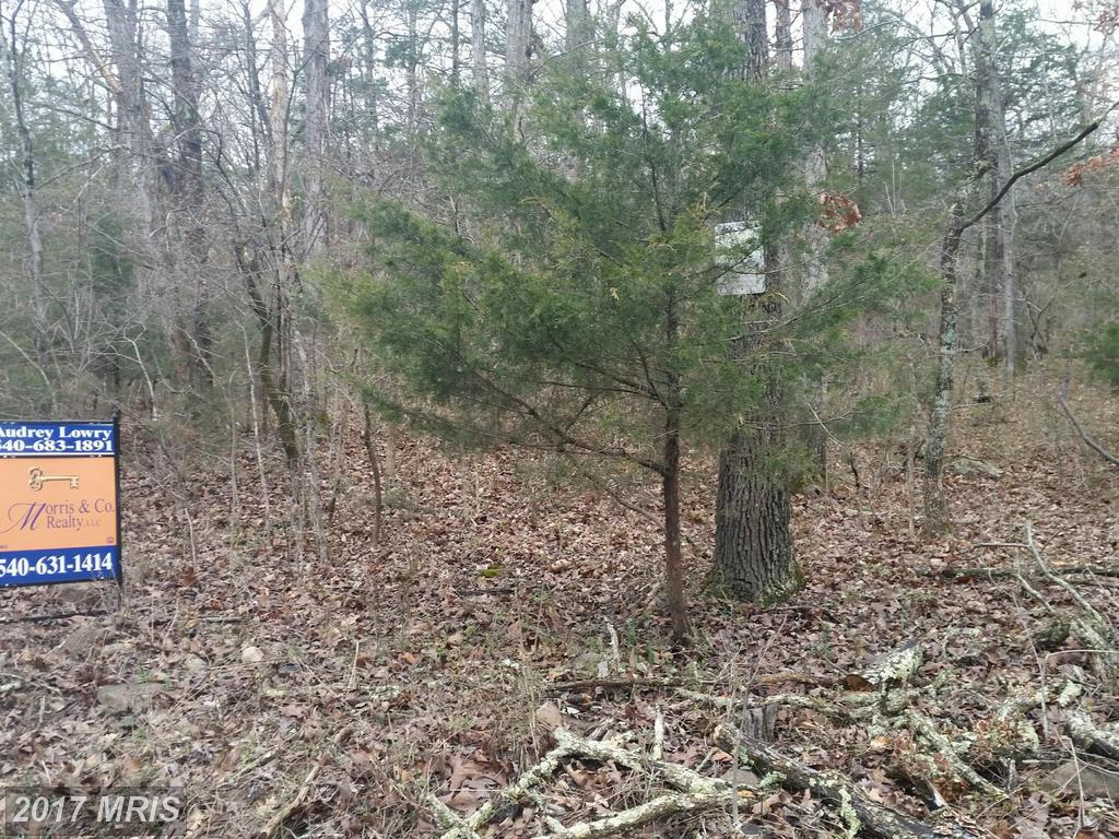 0 Panhandle Road - Photo 1