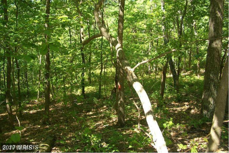 Arrowhead Road - Photo 1