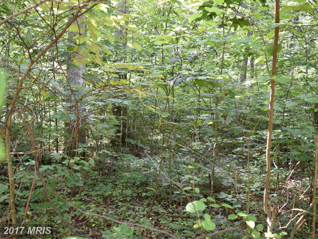 Rainbow Way - Photo 1
