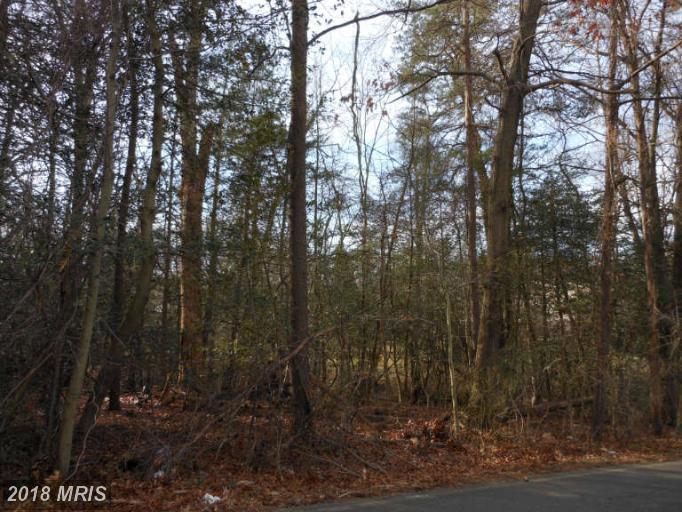 1645 Wall Drive - Photo 1