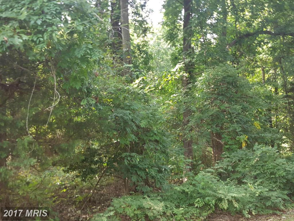 1454 Cedarhurst Road - Photo 1