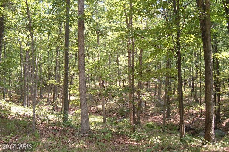 Potomac View Road - Photo 1