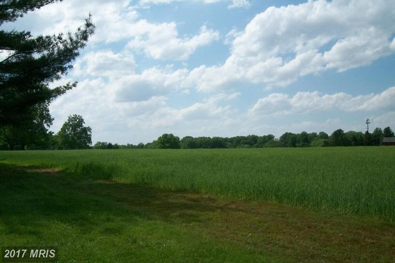 Greenspring Avenue - Photo 1