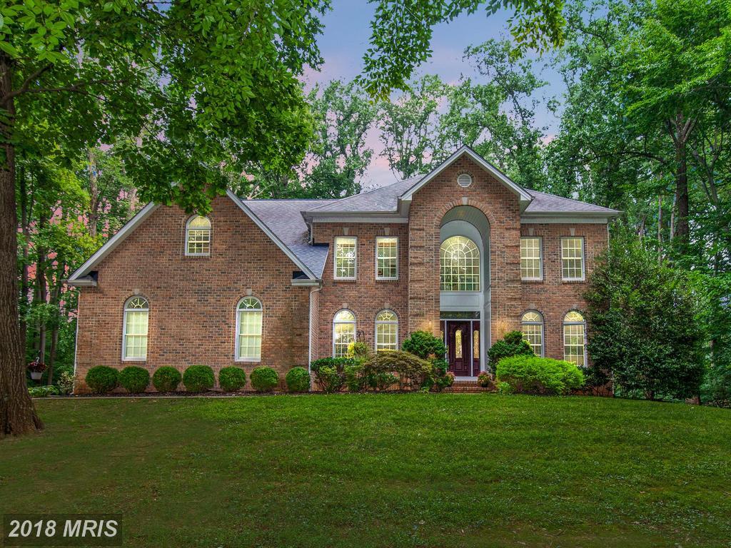 7 Wildon Court - Photo 1