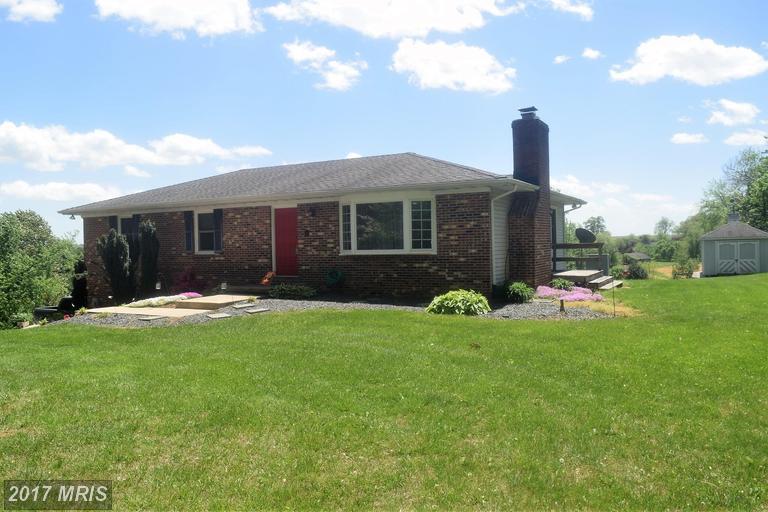 19618 Old York Road - Photo 1