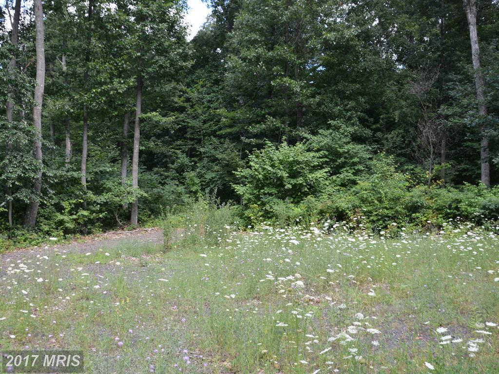 0 Egolf Road - Photo 1