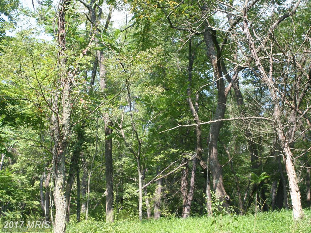 LOT 21 Pine Ridge Road - Photo 1