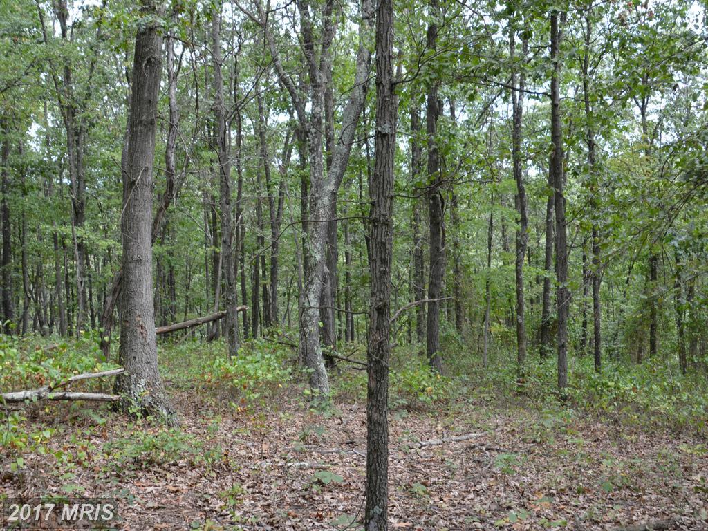 LOT 11 Pine Ridge Road - Photo 1