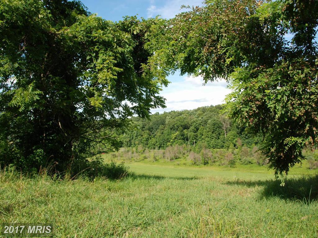 Rooney Road - Photo 1