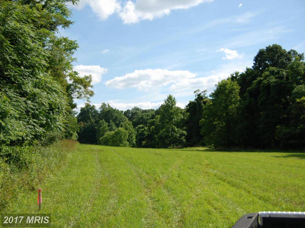 Rooney Road - Photo 1