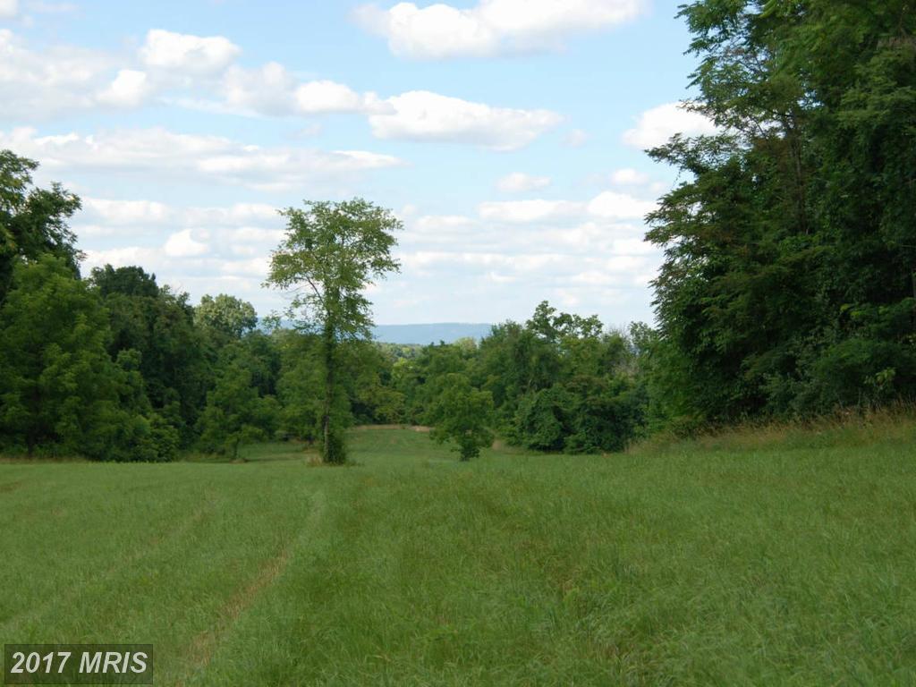 Rooney Road - Photo 1