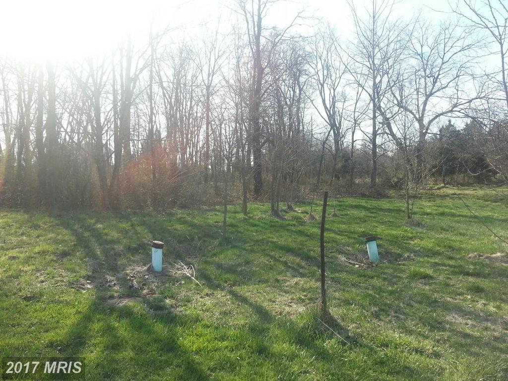 Karen Ryan Way - Photo 1