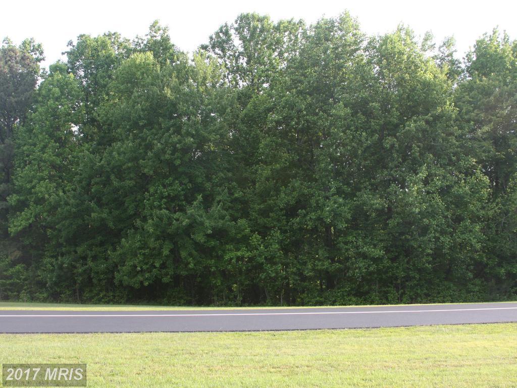 776 Sandy Wash Circle - Photo 1