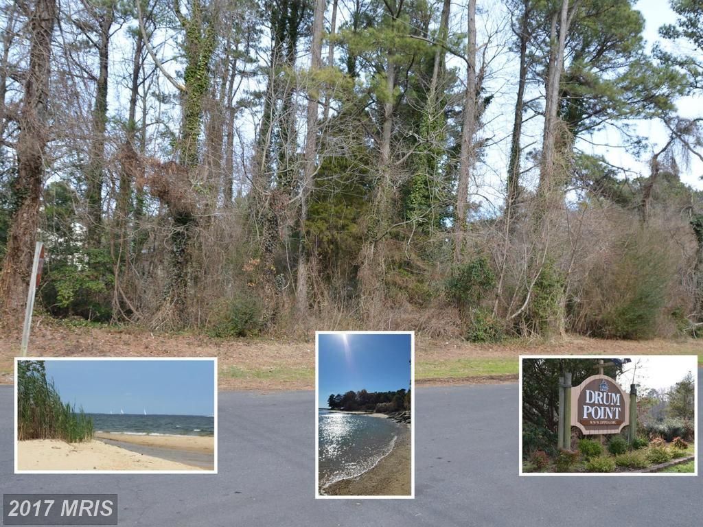 12908 Huron Drive - Photo 1