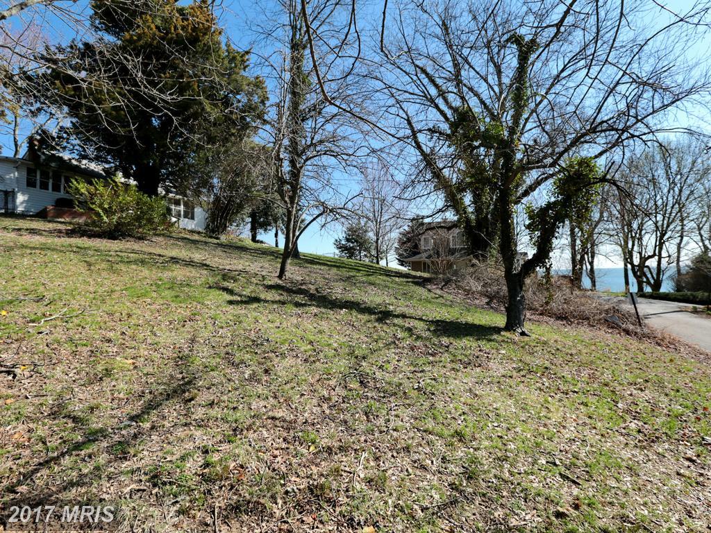 4026 11TH Street - Photo 1