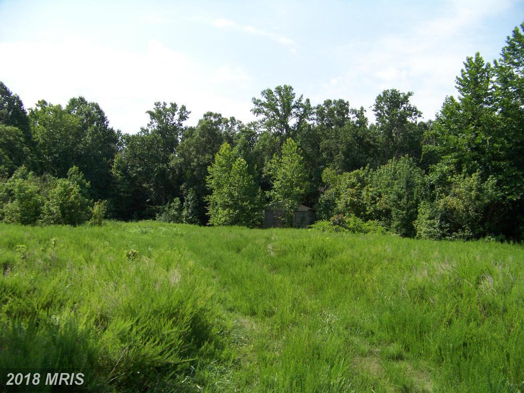 349 Whitetail Drive - Photo 1