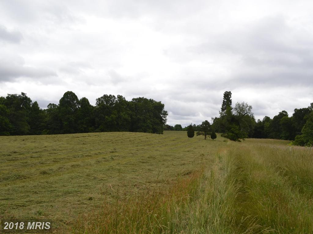 Ross Road - Photo 1
