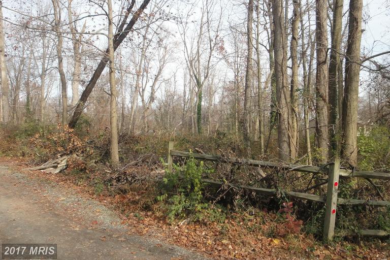 LOT 24 Maryland Avenue - Photo 1