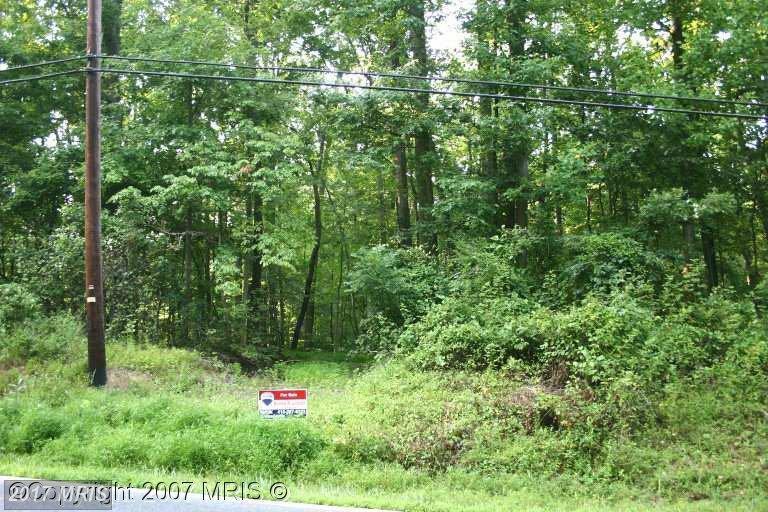 0 Turkey Point Road - Photo 1