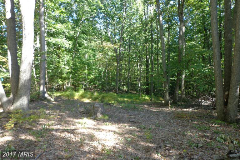 Lot 1A Turkey Point Road - Photo 1
