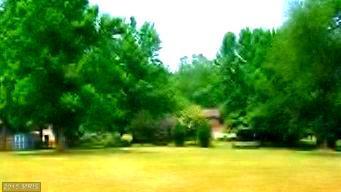 Turkey Point Road - Photo 1