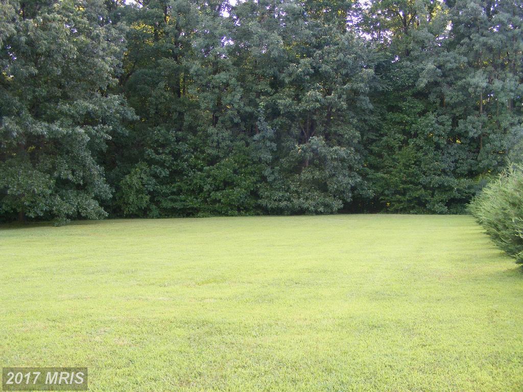 LOT #4 Patrick Ward Drive - Photo 1