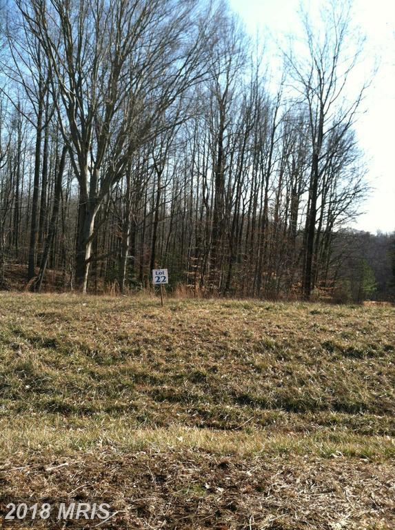 14428 Frontier Trails Court - Photo 1