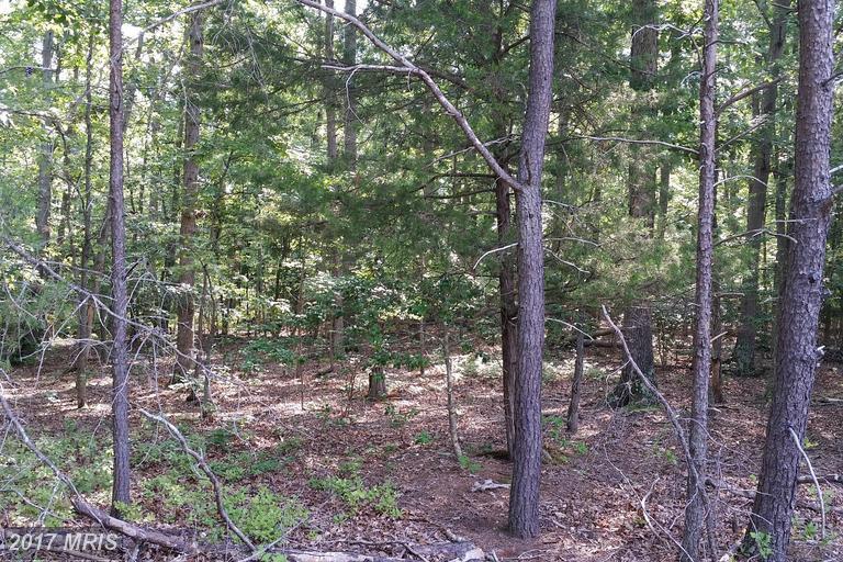 Smith Point Road - Photo 1