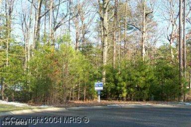 11589 Beacon Hill Court - Photo 1