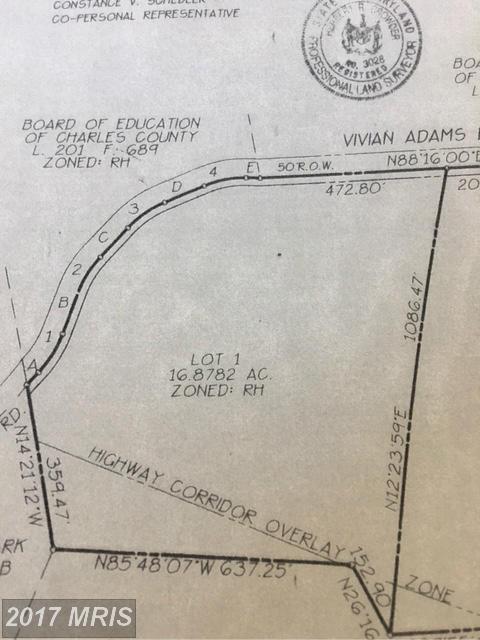 12105 Vivian Adams Drive - Photo 1