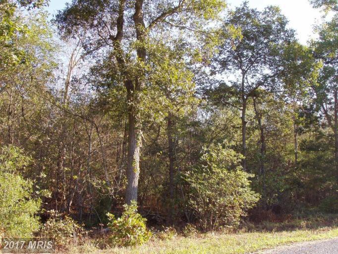 Hignutt Road - Photo 1