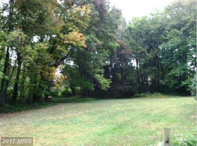 Upper Beckleysville Road - Photo 1