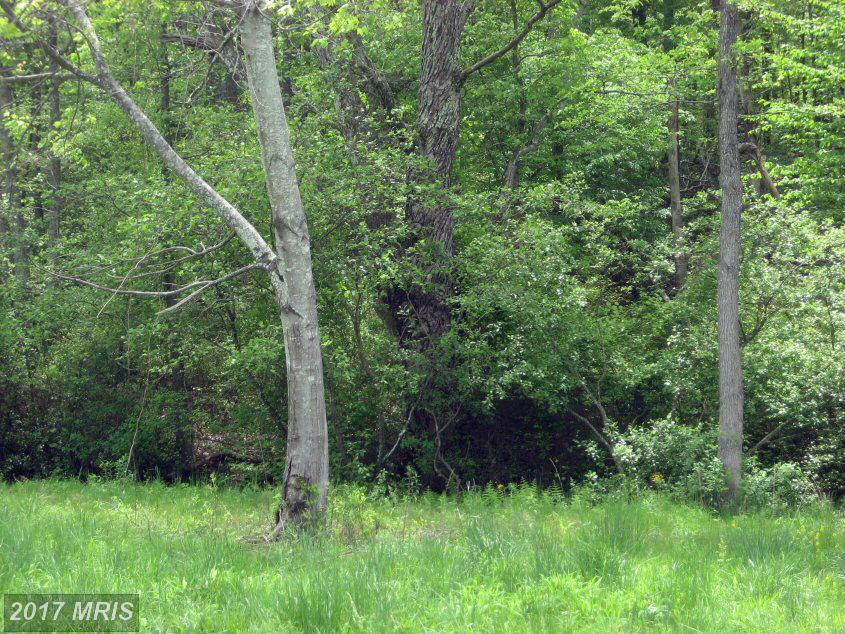 Red Leaf Lane - Photo 1