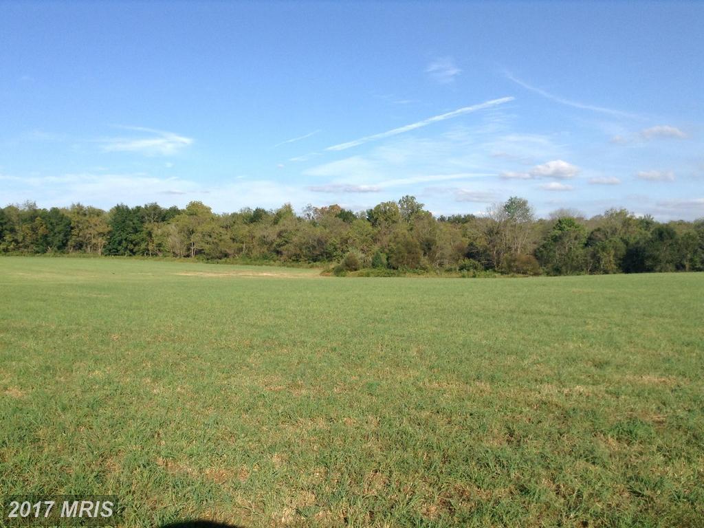 Old Barn Rd And Rixyville Rd - Photo 1