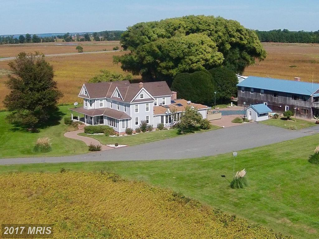 615 Taylors Island Road - Photo 1