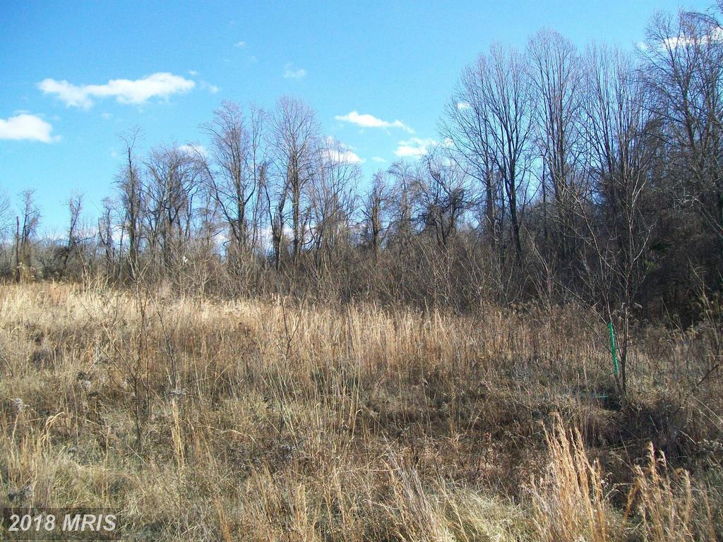 Garland Drive - Photo 1