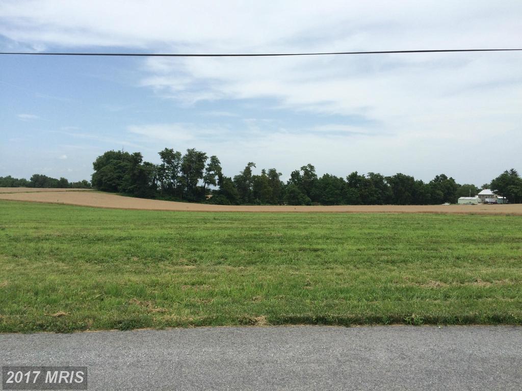 13226 Molasses Road - Photo 1