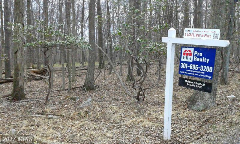 10697 Gambrill Park Road - Photo 1
