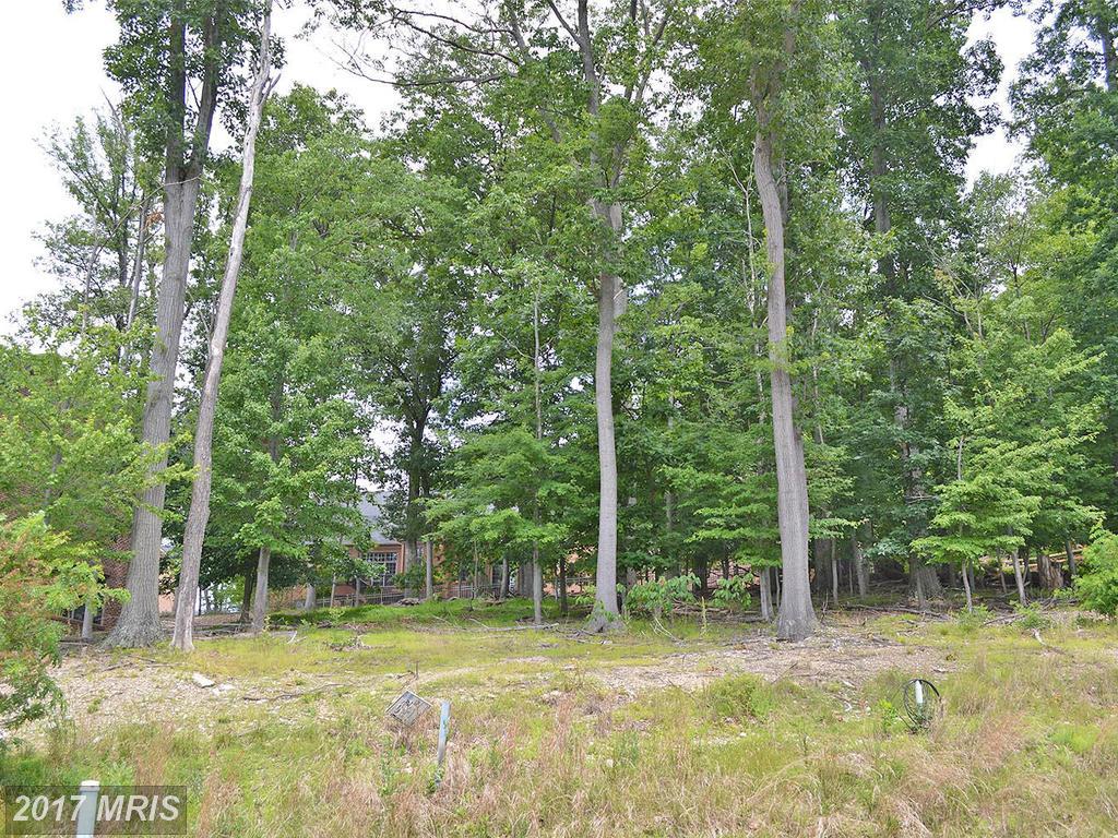 6724 Accipiter Drive - Photo 1