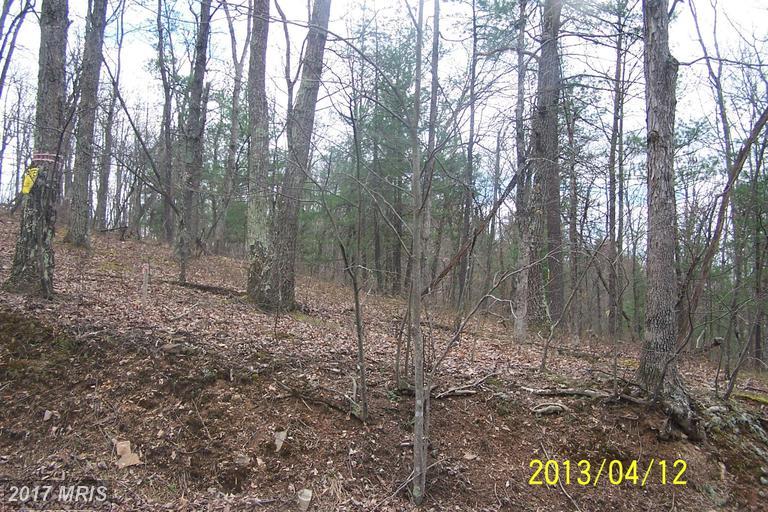 Lot 9 Delancy Road - Photo 1