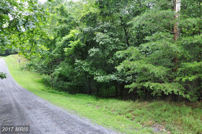 L-111 Blackberry Lane - Photo 1