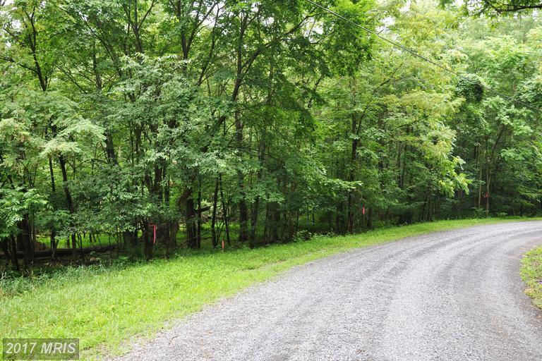 L-55 Logger Drive - Photo 1