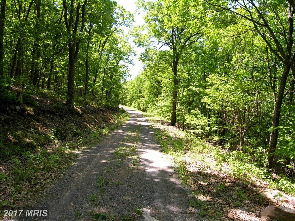 0 Bobcat Trail - Photo 1