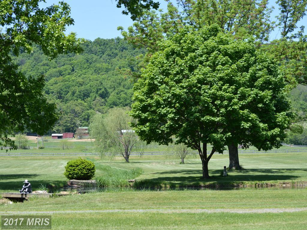 151 Wild Wood Drive - Photo 1