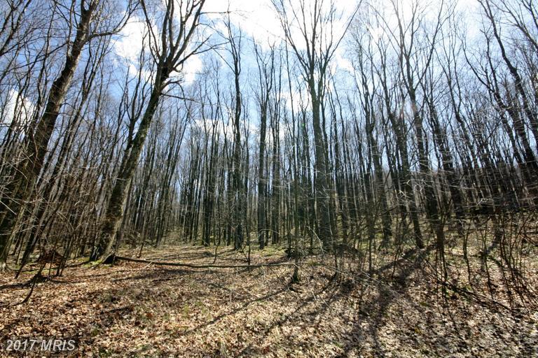 4 Woods Subdivision - Photo 1