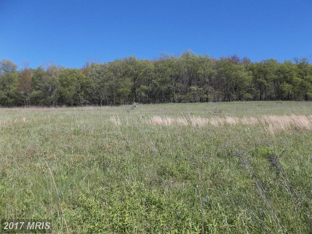 LOT 7 North Pass Trail - Photo 1
