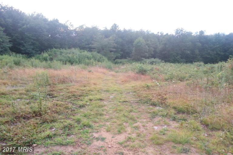 38 Eagles Point Drive - Photo 1