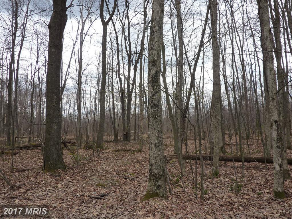119 Elm Drive - Photo 1